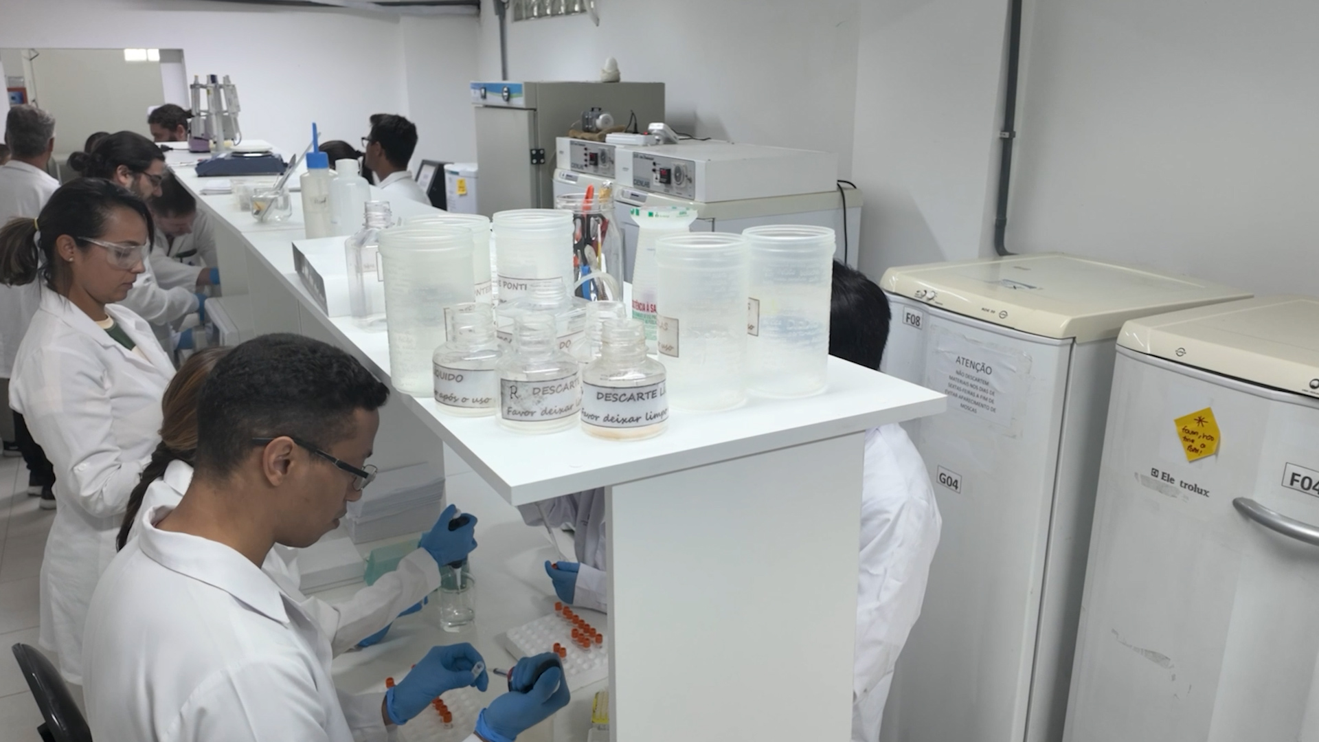 Brazilian scientists race to save coral reef from collapse 