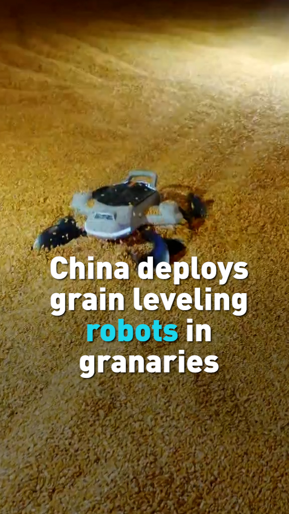 China deploys grain leveling robots in granaries