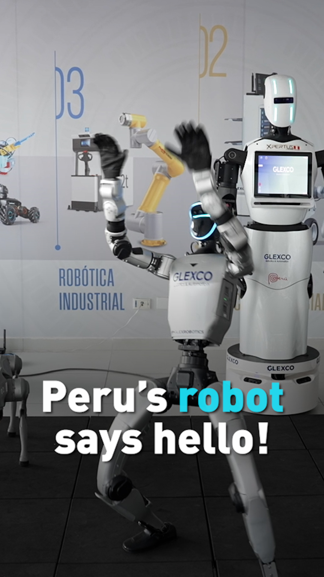 Peru's robot says 