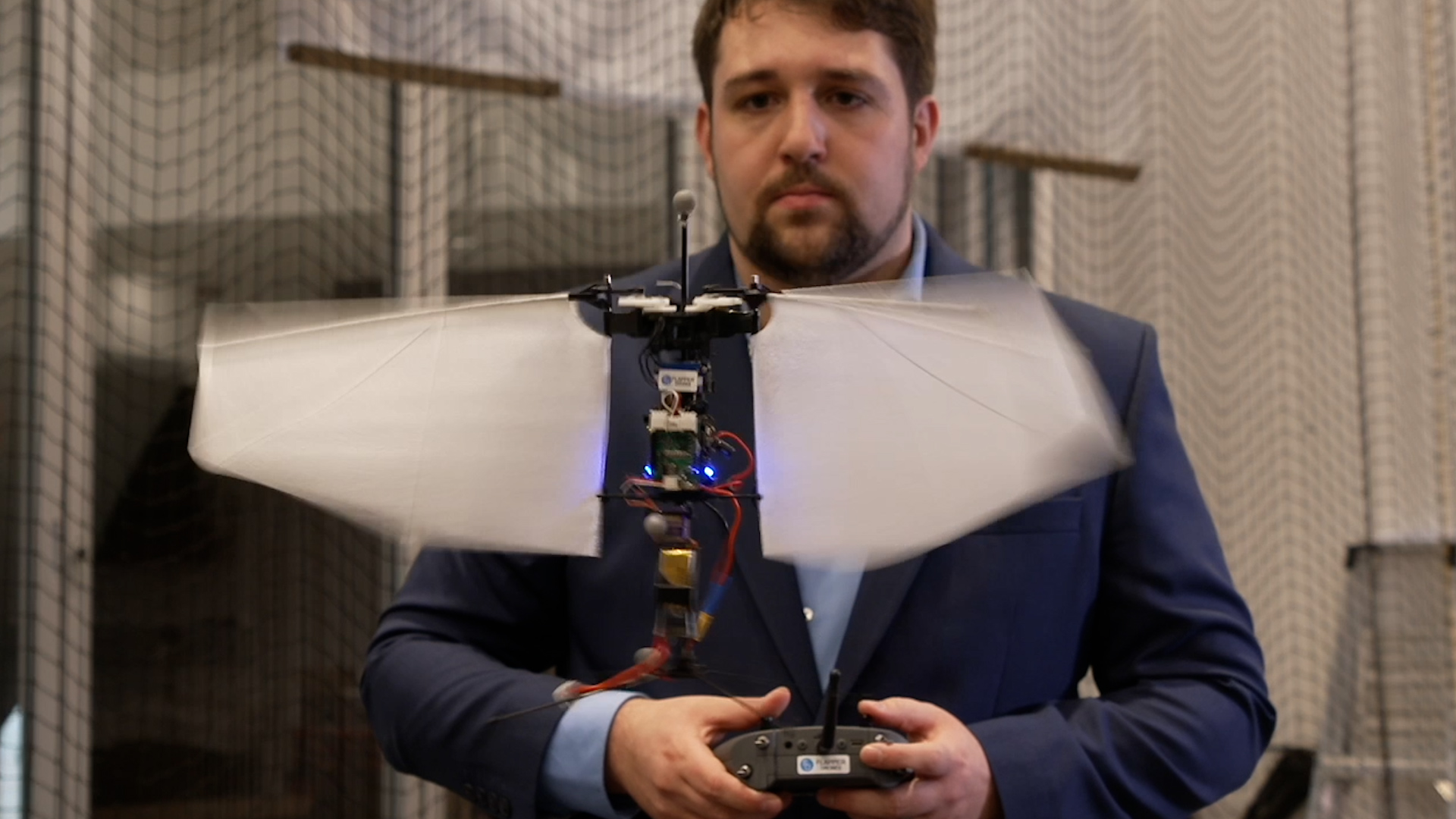 Bees inspiring AI technology 