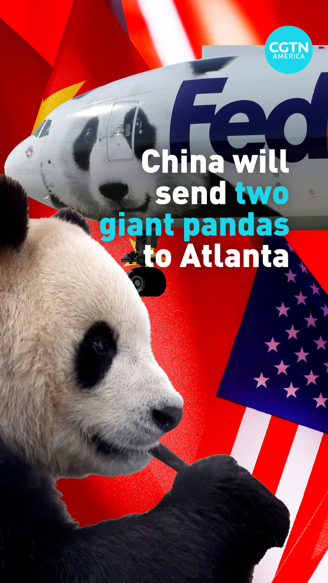 China sends two pandas to Atlanta 