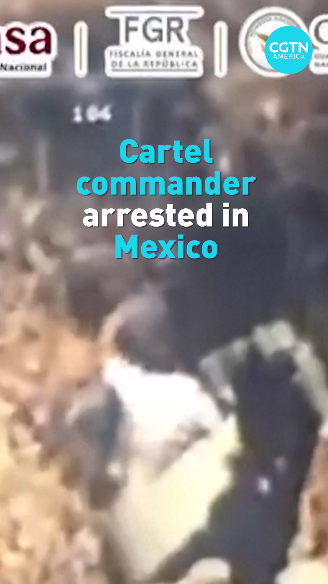 Cartel commander arrested in Mexico 