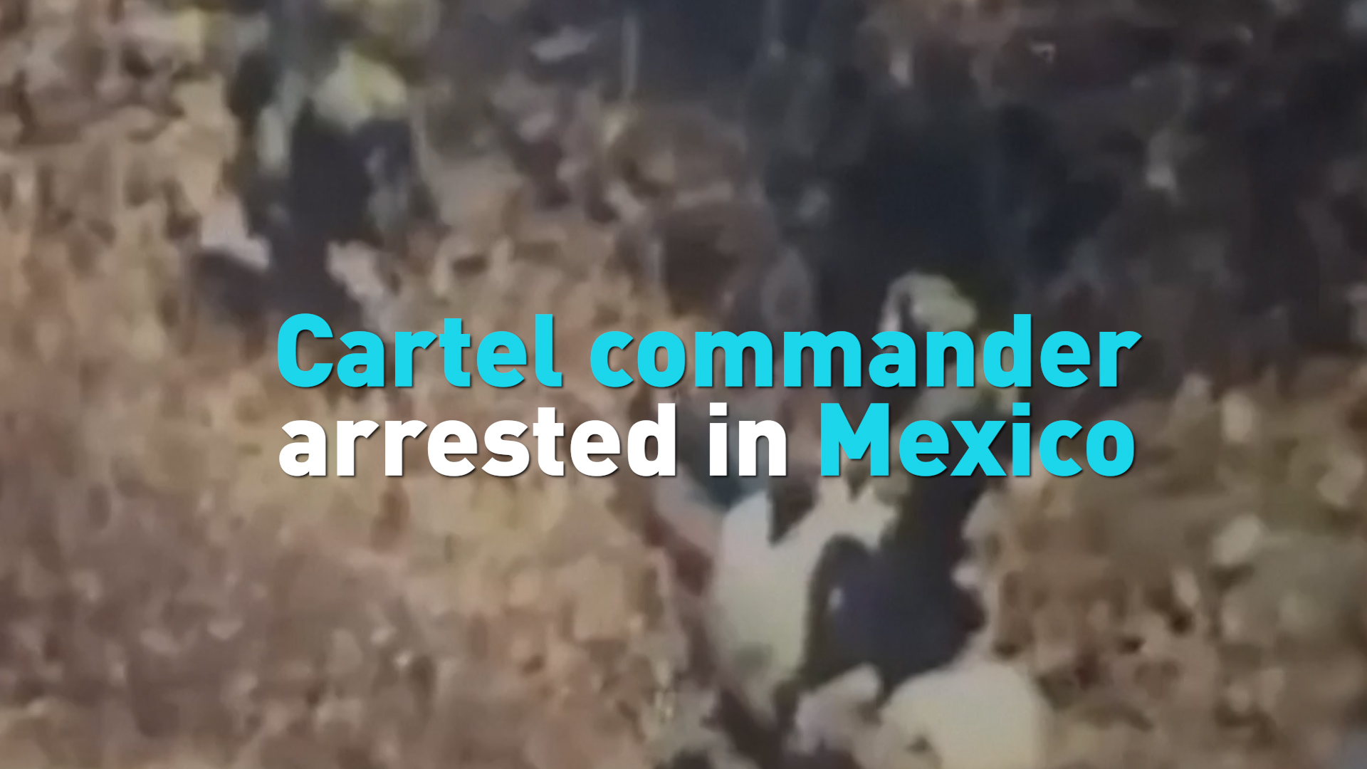 Cartel commander arrested in Mexico 