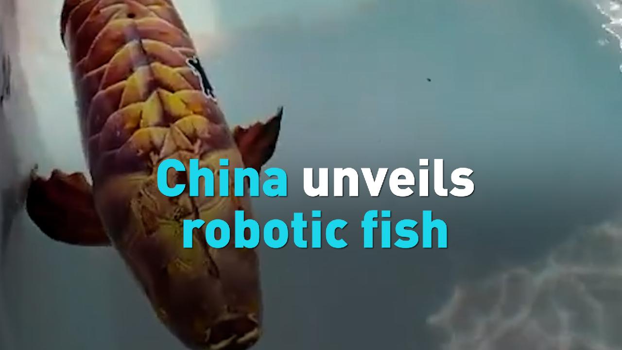 China unveils robotic fish