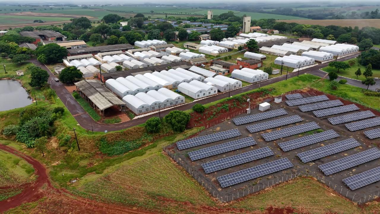 Brazil scientist transforms farming