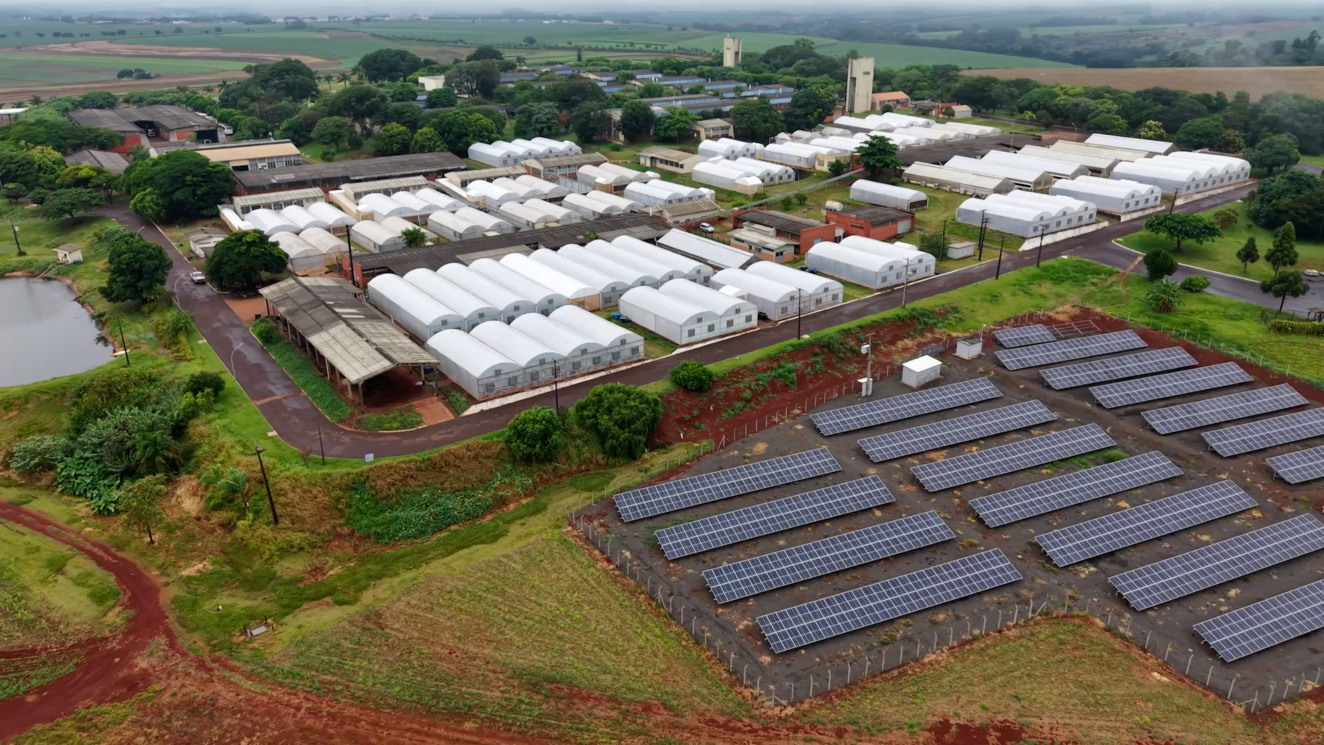 Brazil scientist transforms farming