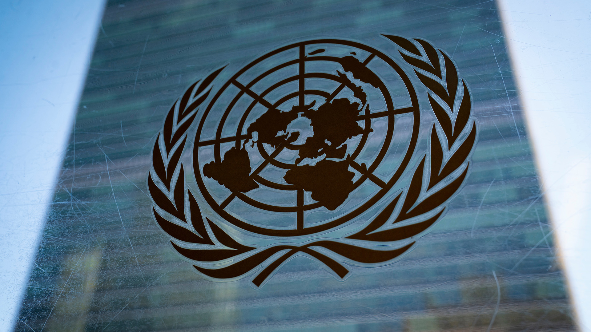 Chinese FM holds sideline meetings with leaders at UN