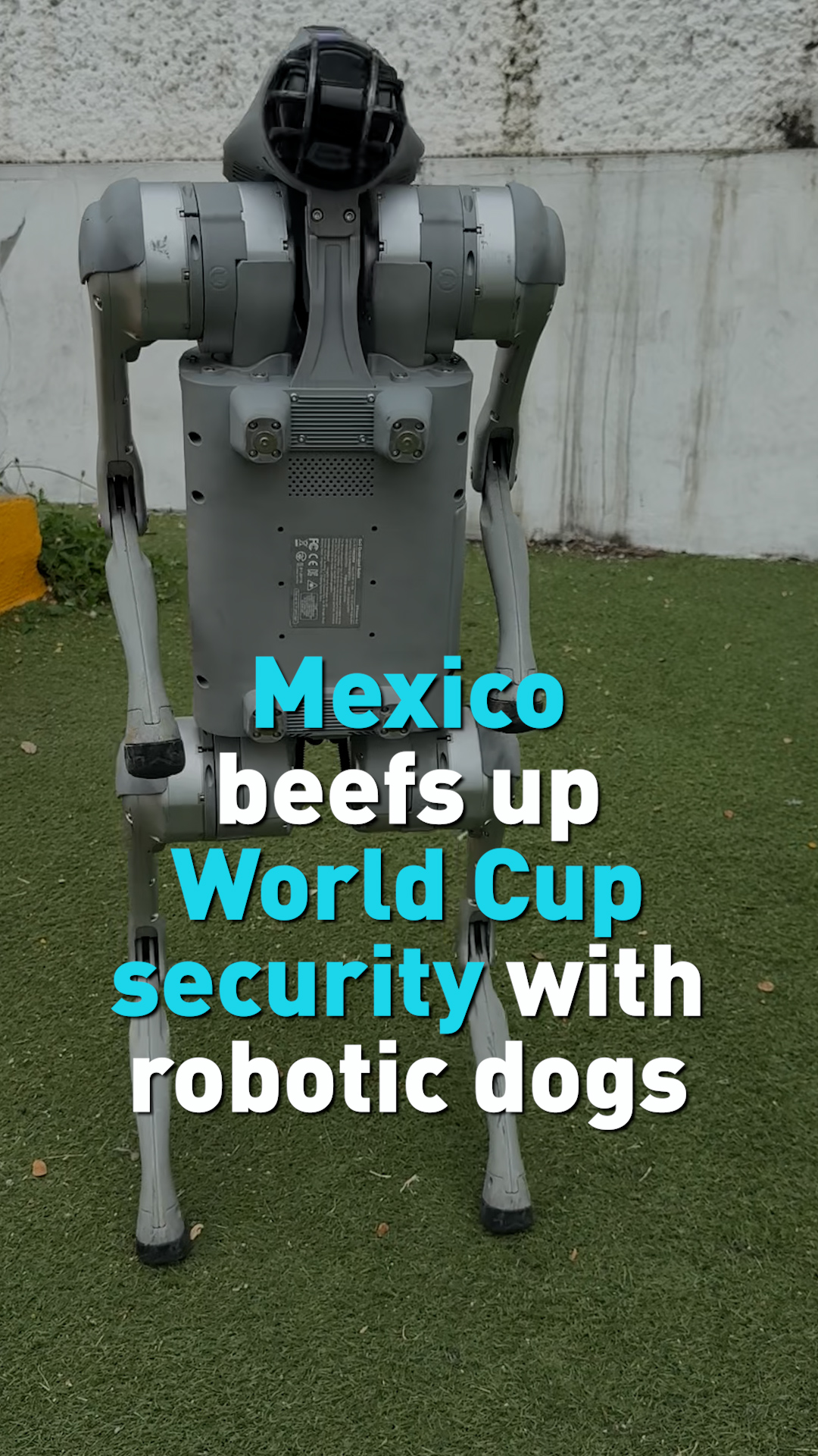 Mexico beefs up World Cup security with robotic dogs
