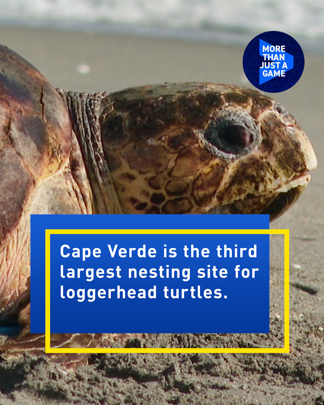 10 things to know about Cape Verde