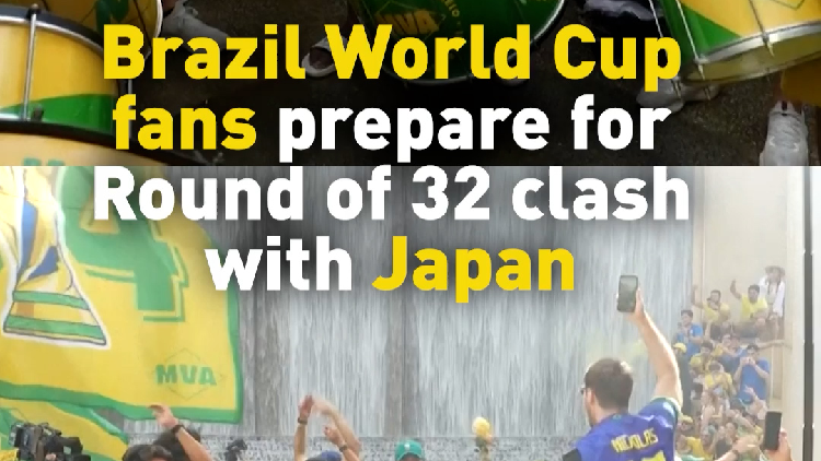 Brazil World Cup fans prepare for Round of 32 clash against Japan