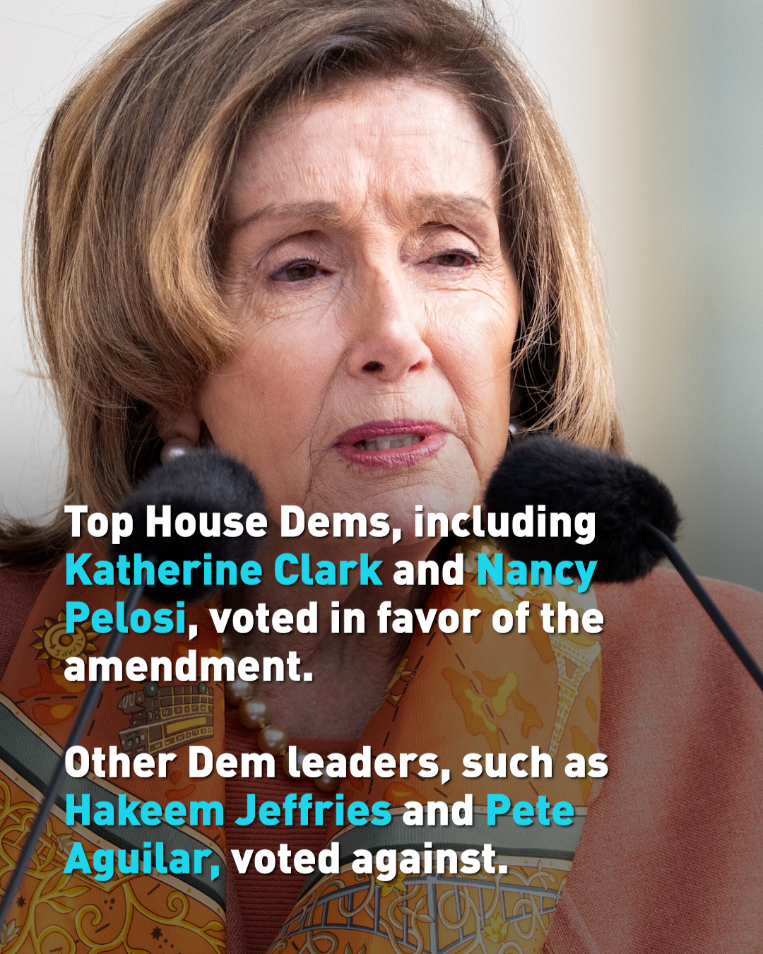103 House Dems voted to block aid to Israel 