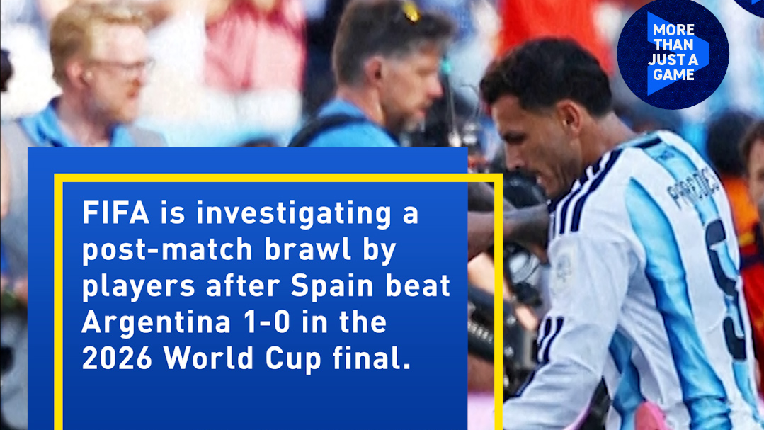 FIFA investigates post-World Cup final brawl 
