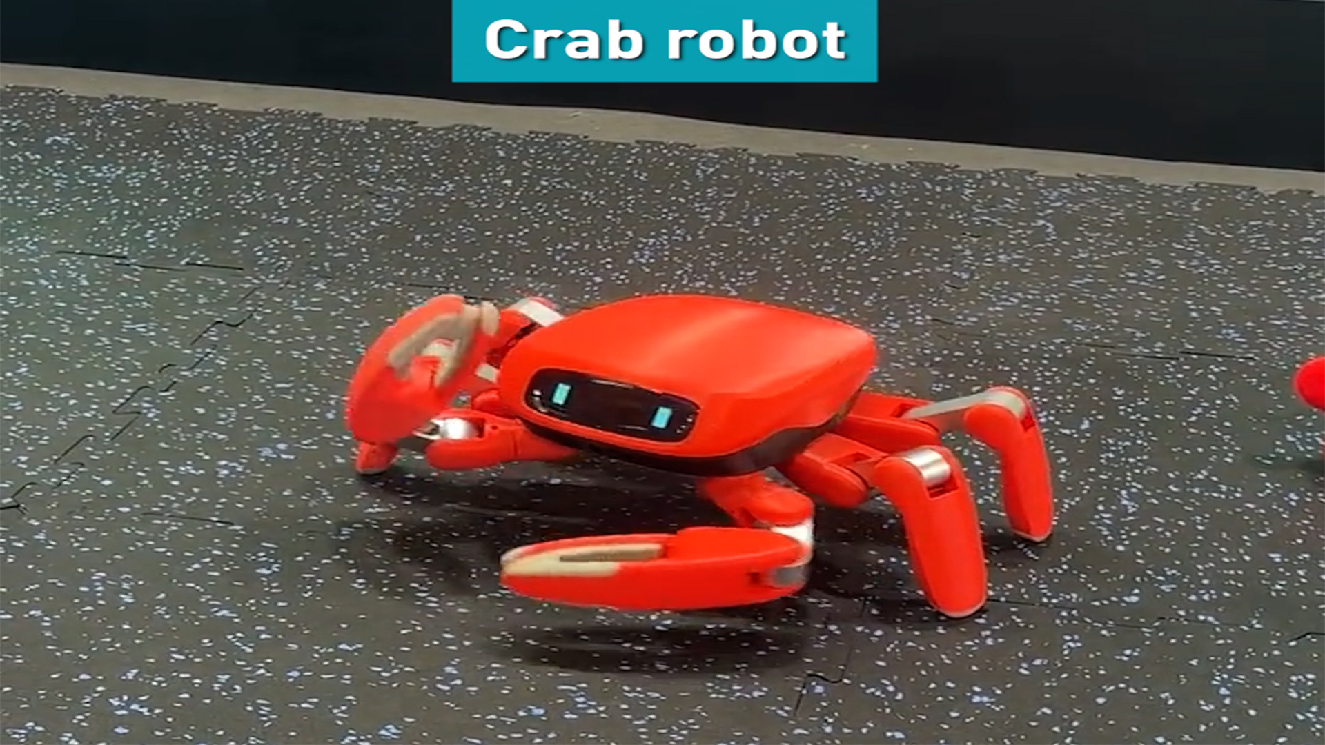 Robots performing seemingly “useless” tasks at WAIC 2026