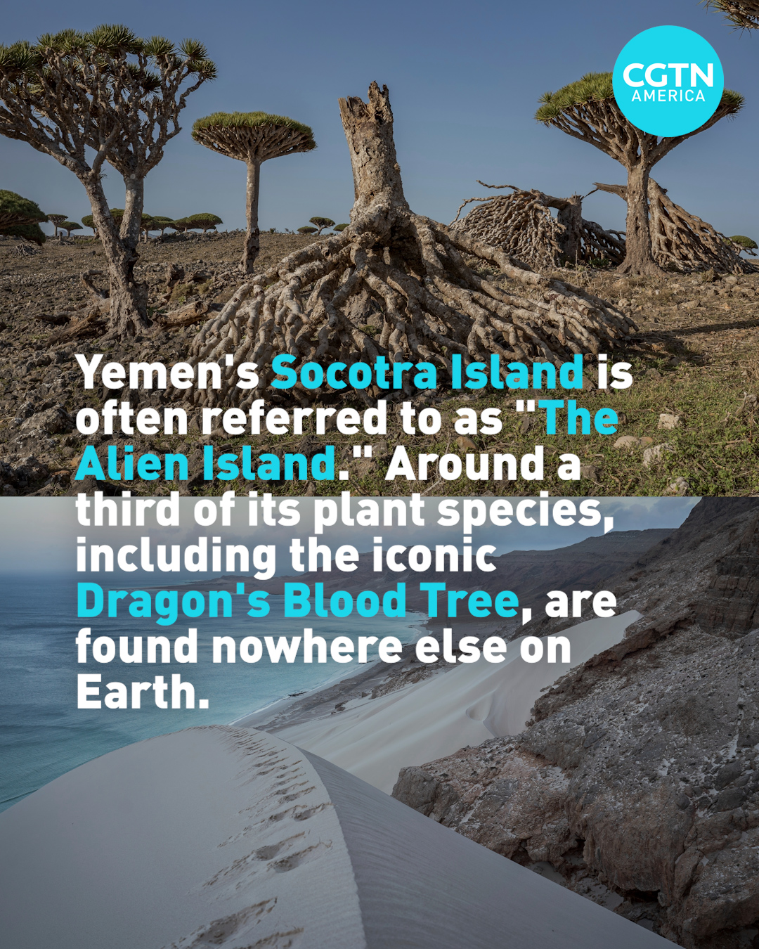 Five things to know about Yemen 