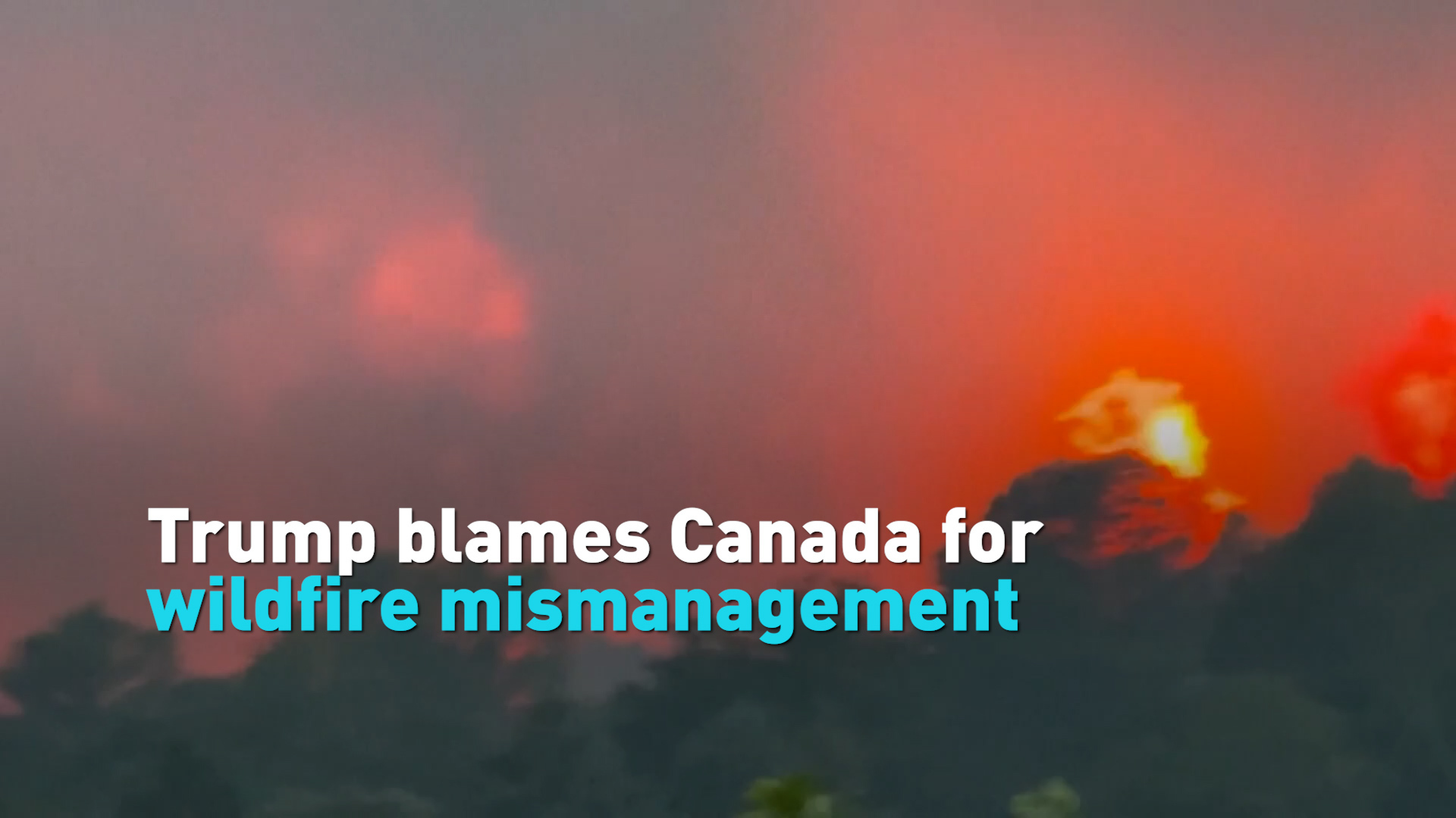 Trump blames Canada for wildfire mismanagement