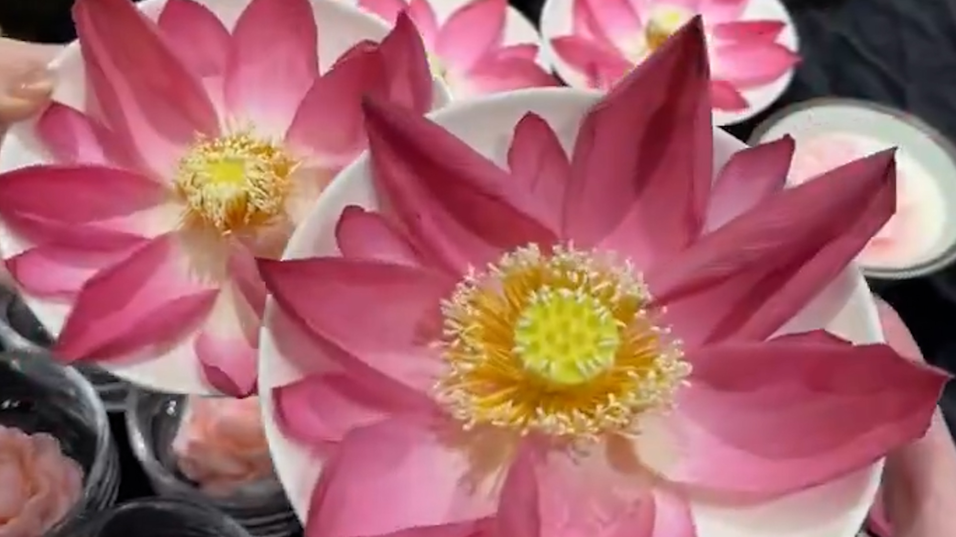 Lotus tea for summer