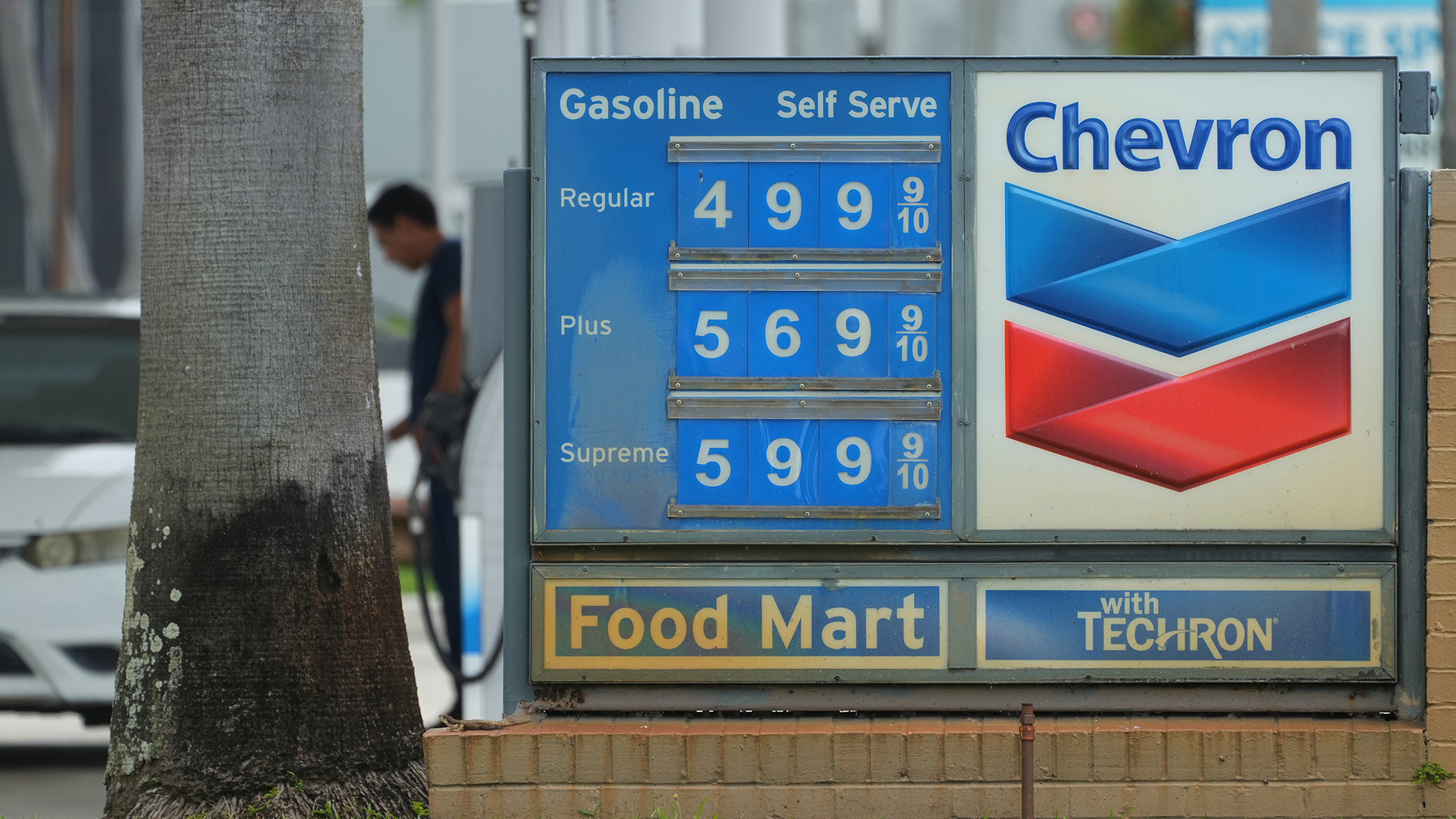 Trump says oil companies 'made too much money'