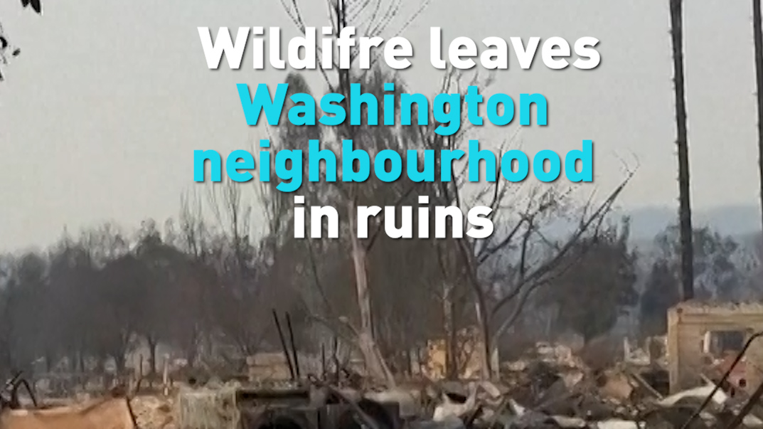 Wildfire leaves US state of Washington neighborhood in ruins