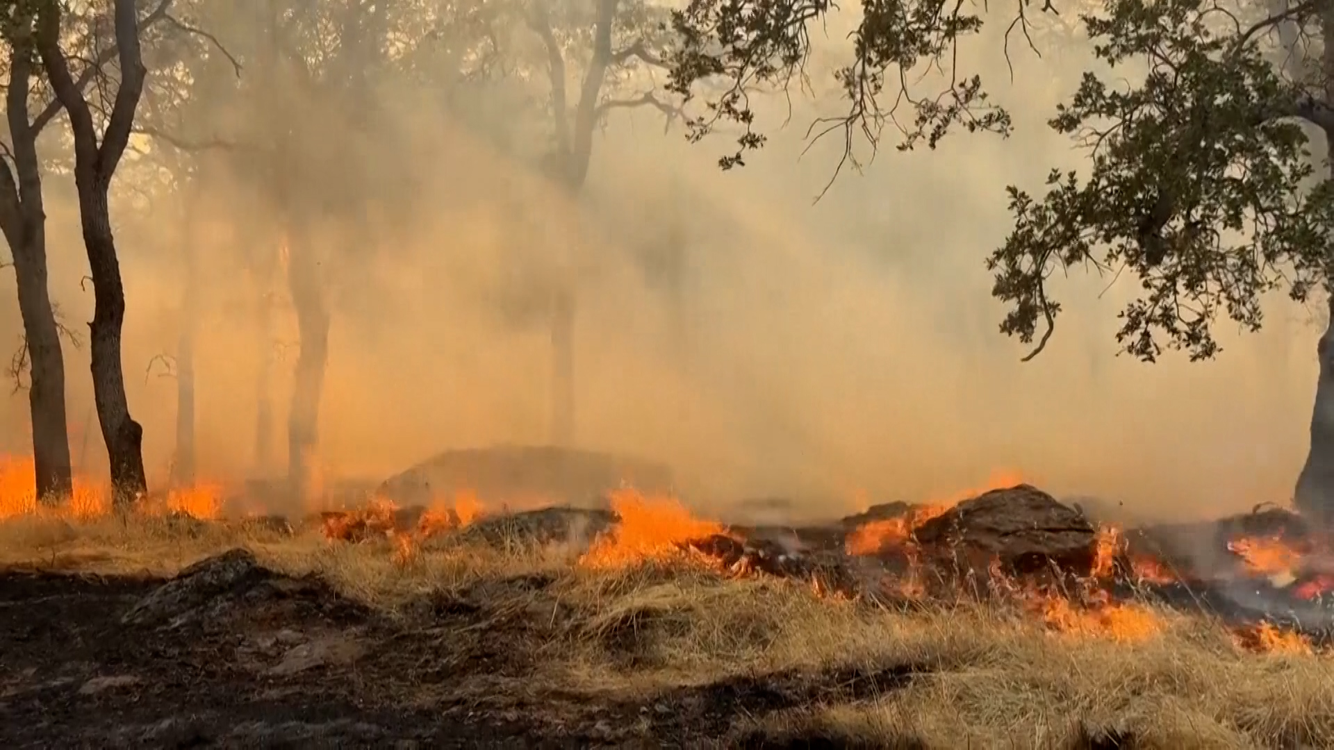 Gann Fire burns buildings in California