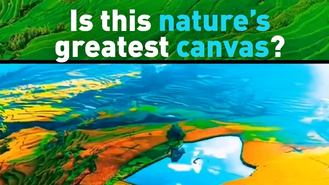 Is this nature's greatest canvas?