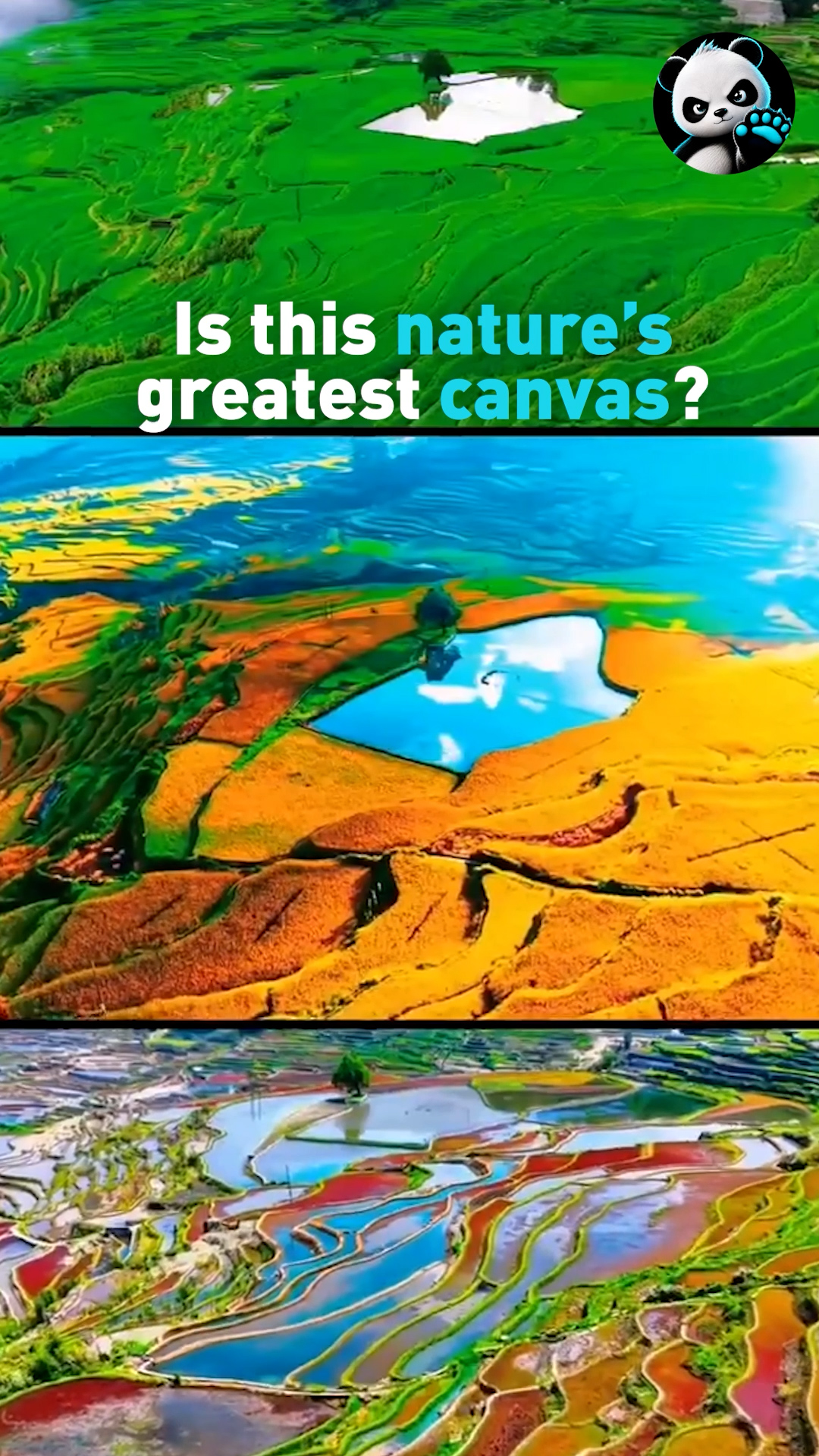 Is this nature's greatest canvas?
