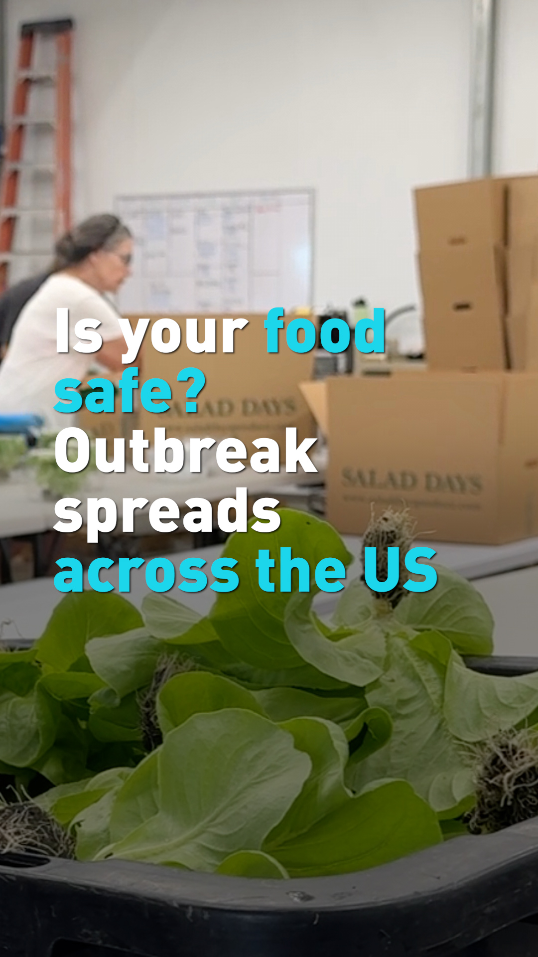 Is your food safe? Outbreak spreads across the U.S.