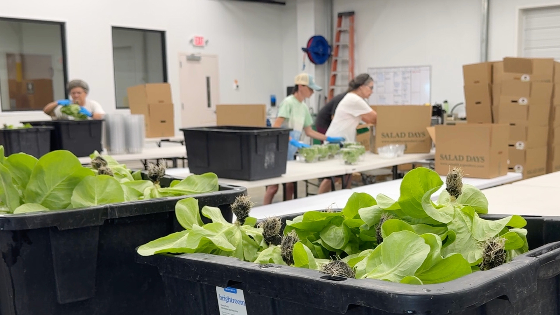 Is your food safe? Outbreak spreads across the U.S.
