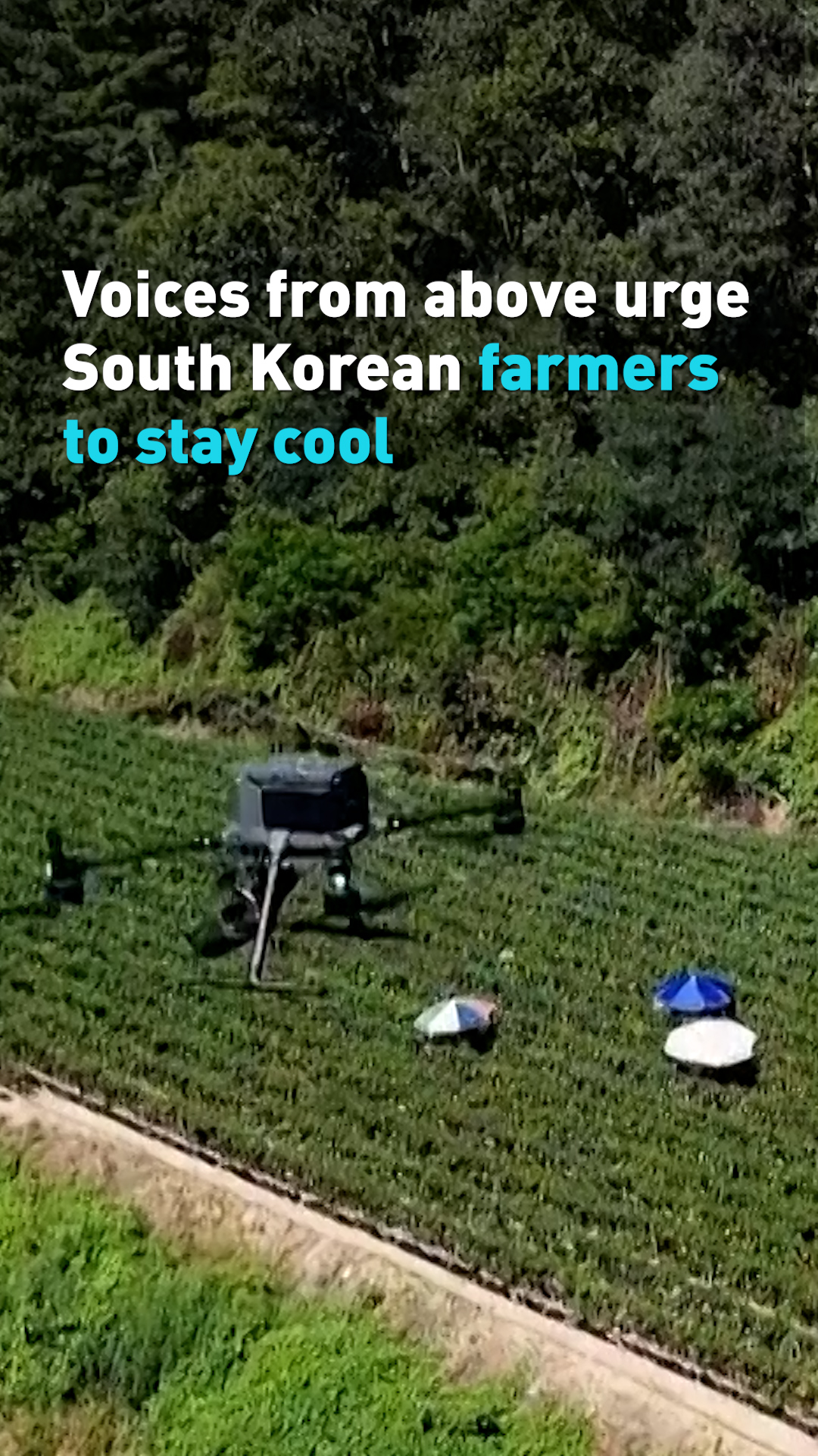 South Korea utilizes drones to warn farmers of excessive heat