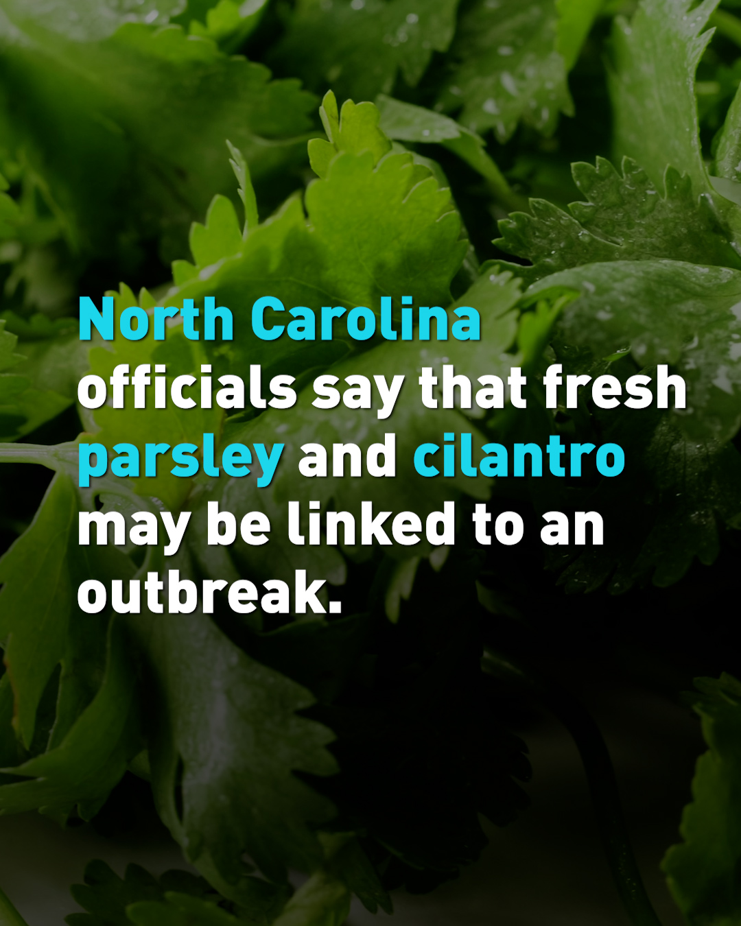 Cyclosporiasis outbreak latest 