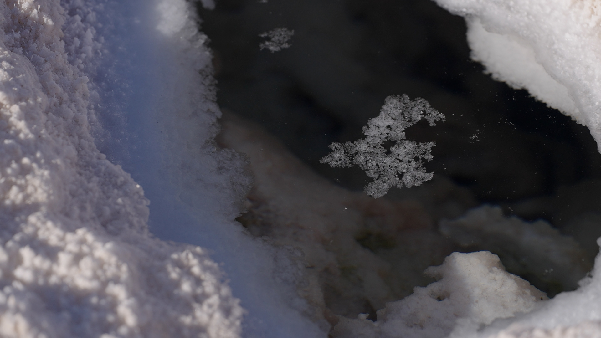 Argentina expands lithium mining in Andes amid its struggling economy