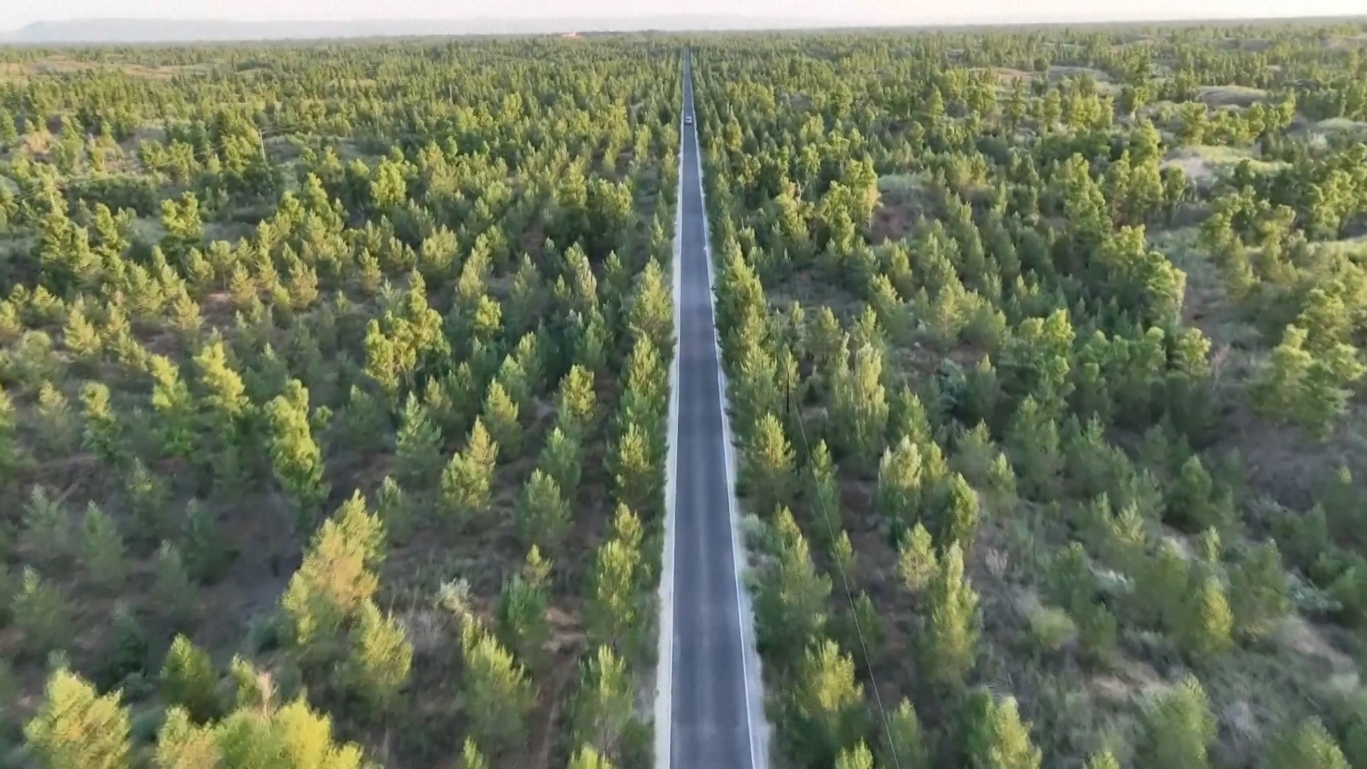 US teacher revisits Chinese desert-control project 27 years later 