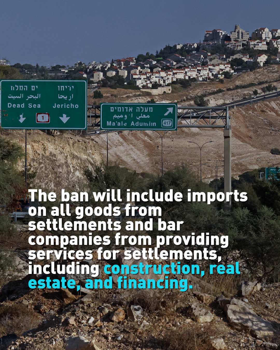 UK bans trade with Israeli settlements, accuses settlers of 'ethnic cleansing'
