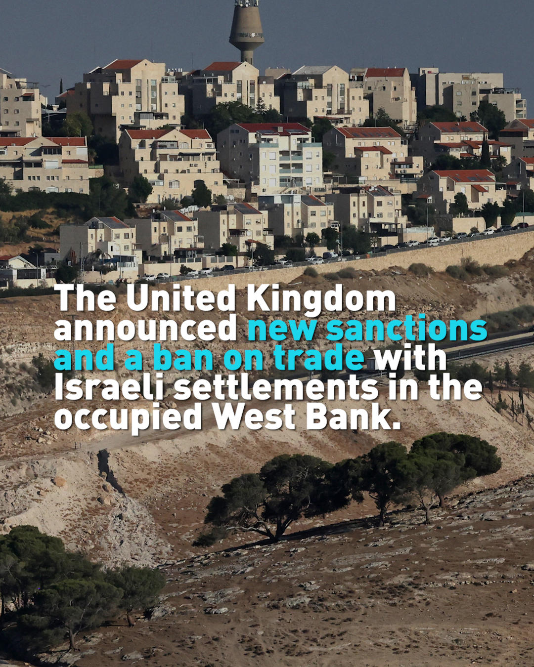 UK bans trade with Israeli settlements, accuses settlers of 'ethnic cleansing'