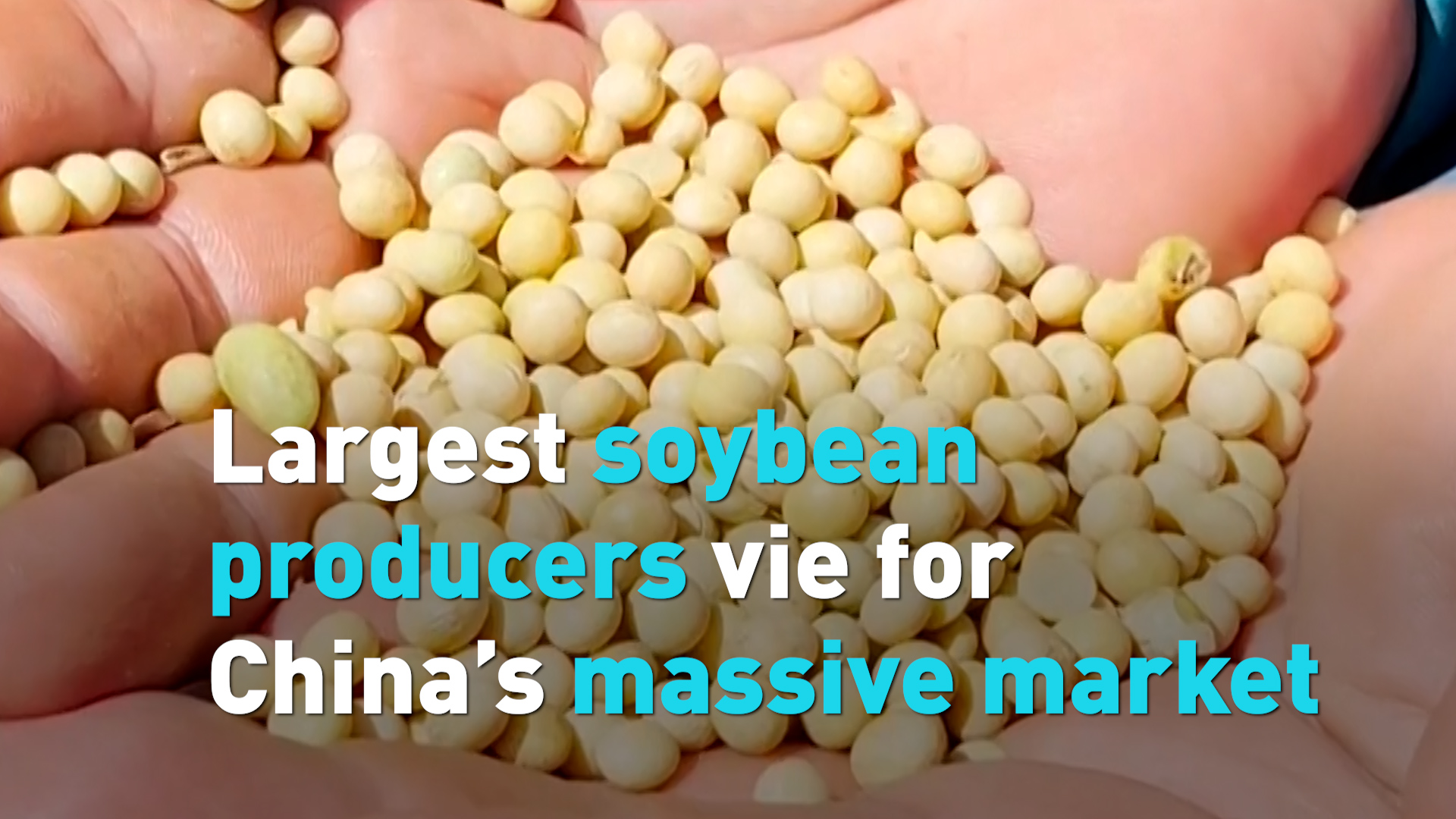 Largest soybean producers vie for China’s massive market