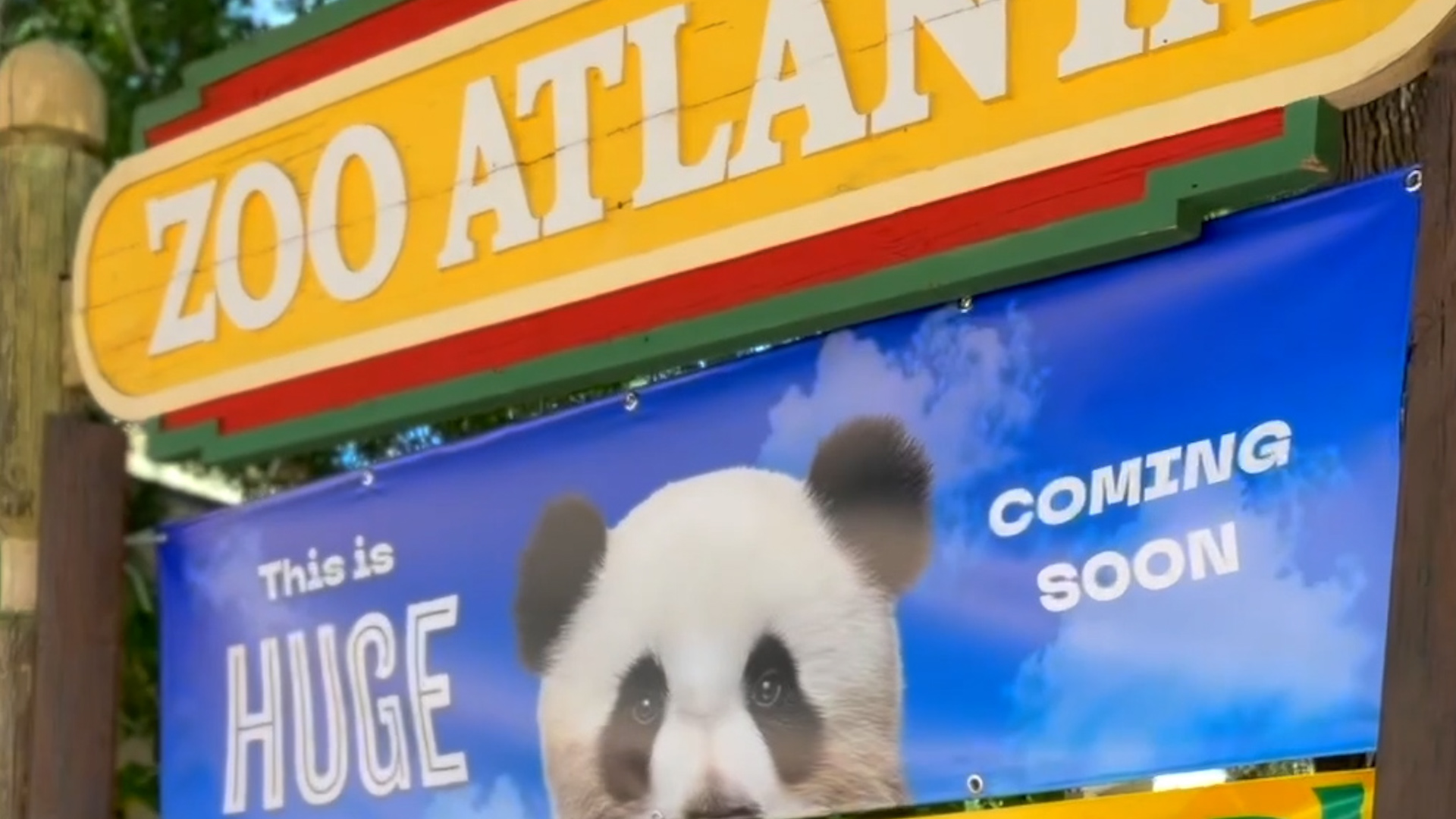 China’s giant pandas acclimate in Zoo Atlanta quarantine