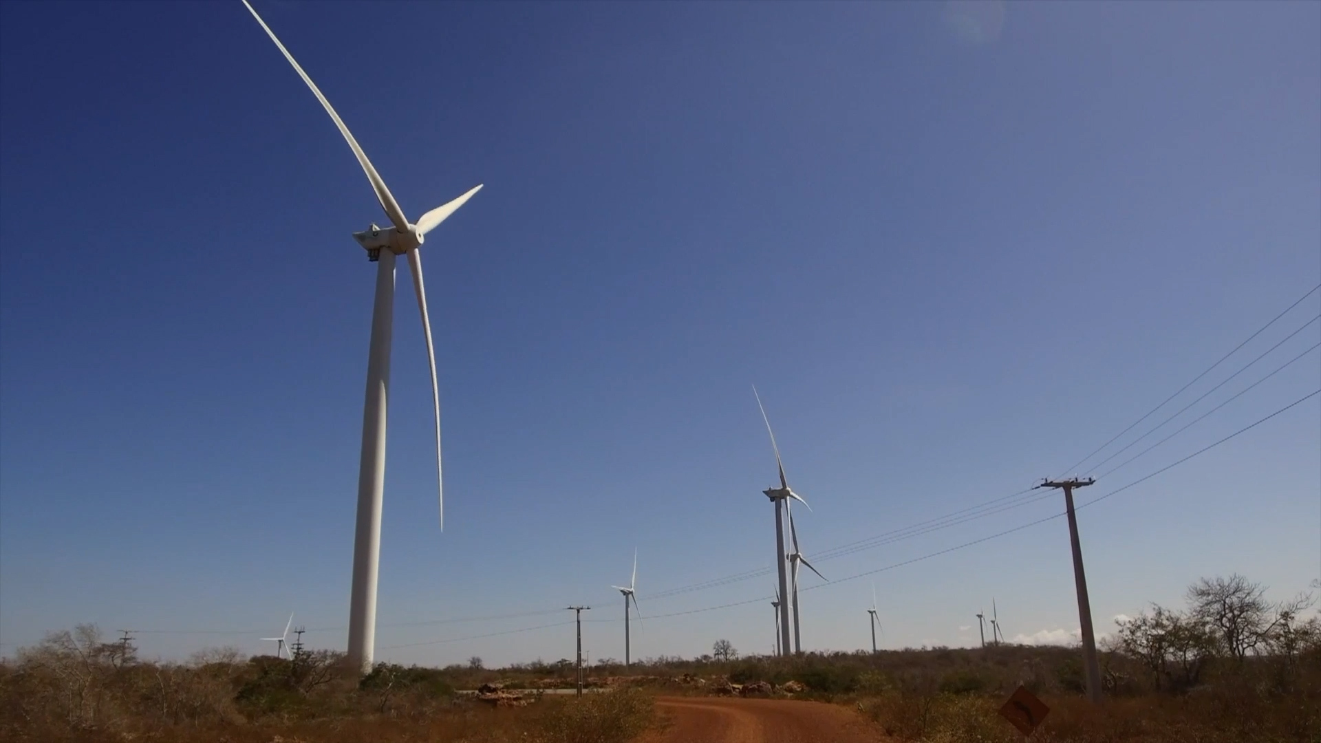 Coalition co-chaired by China, Brazil, and EU to align carbon markets