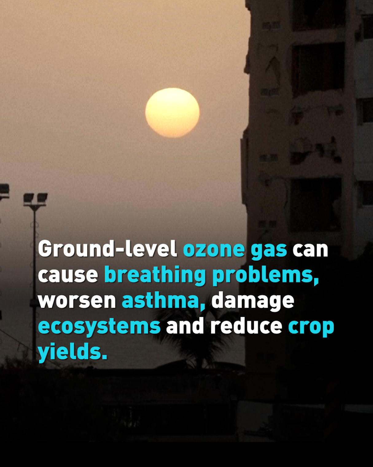 40% of the world exposed to harmful ozone