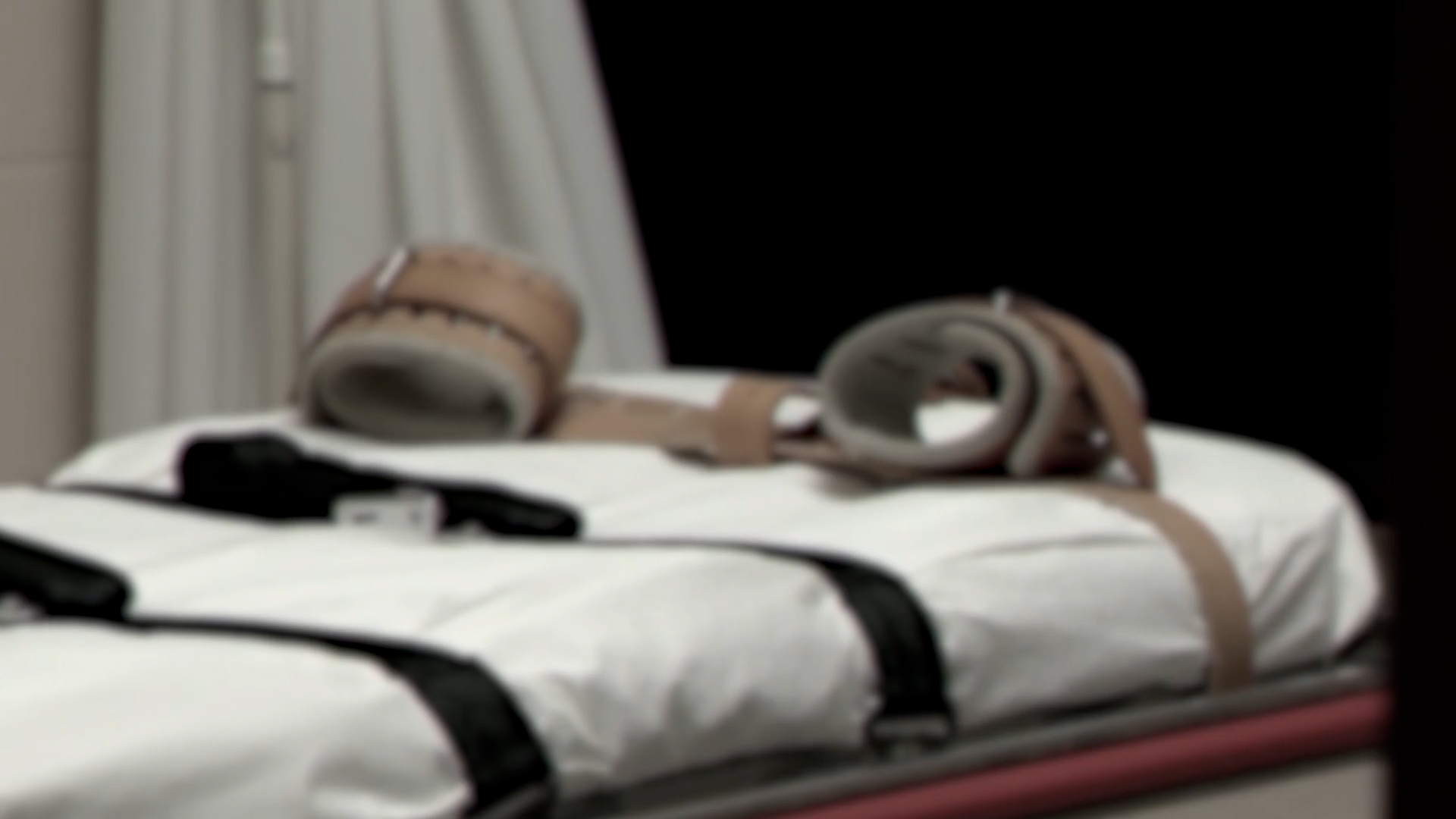 Tennessee halts executions after inmate's failed lethal injection