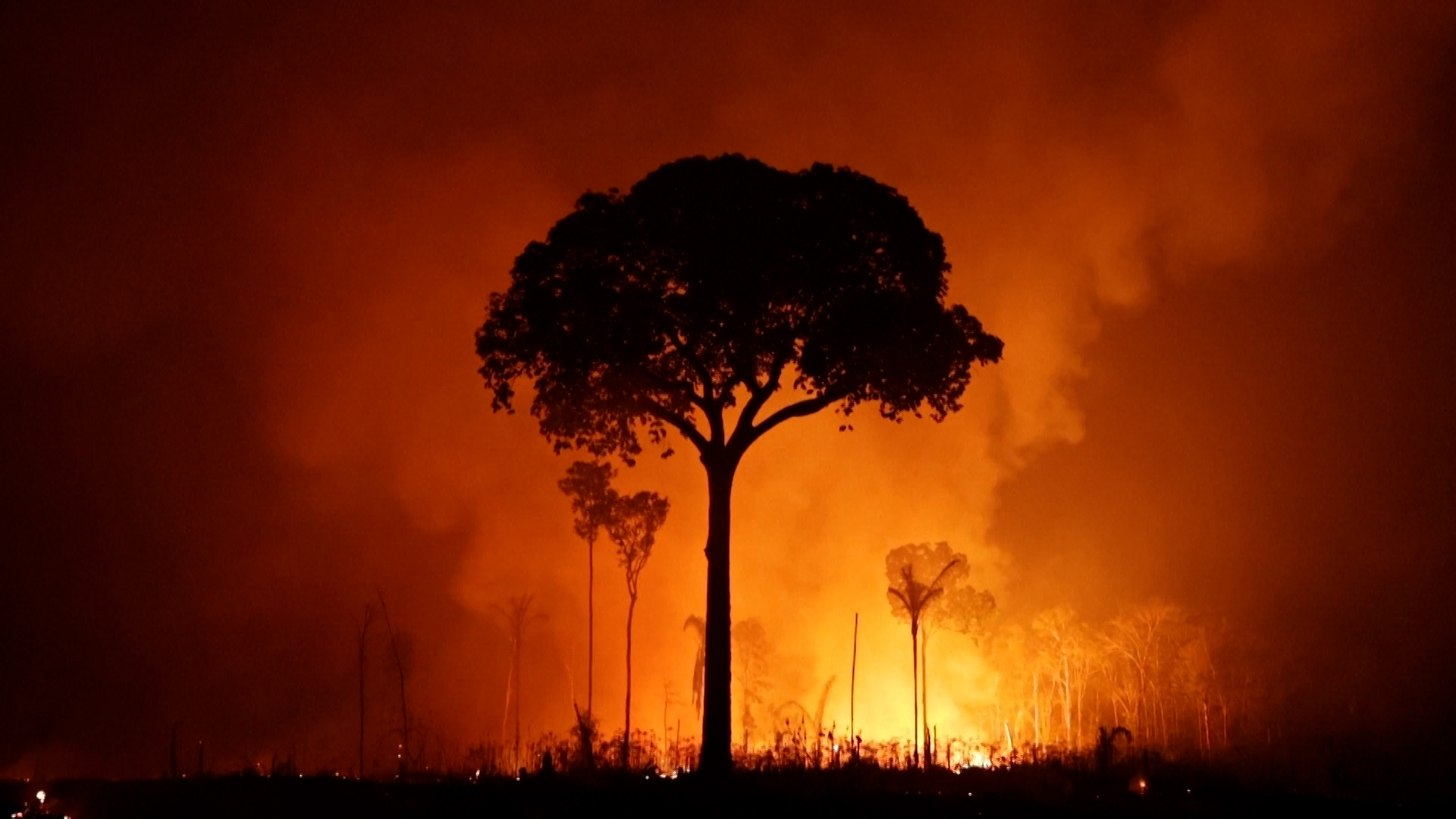Wildfire consumes Brazil's Amazon