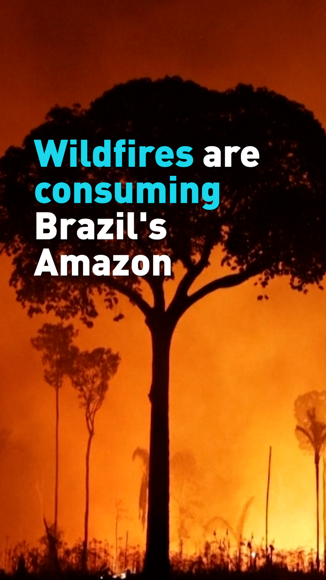 Wildfire consumes Brazil's Amazon