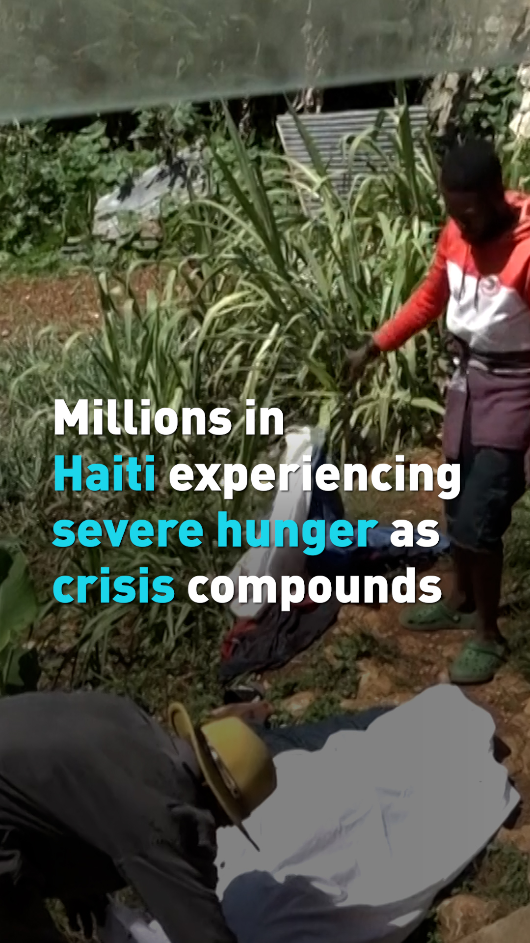 Millions in Haiti experiencing severe hunger as crisis compounds